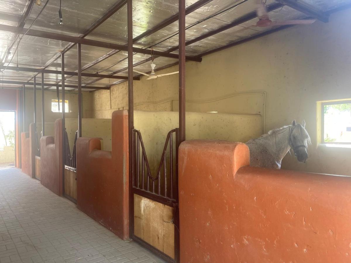 Al Bait Resort With Private Swimming Pools -Hrs Stables Al Hamraniyah Экстерьер фото
