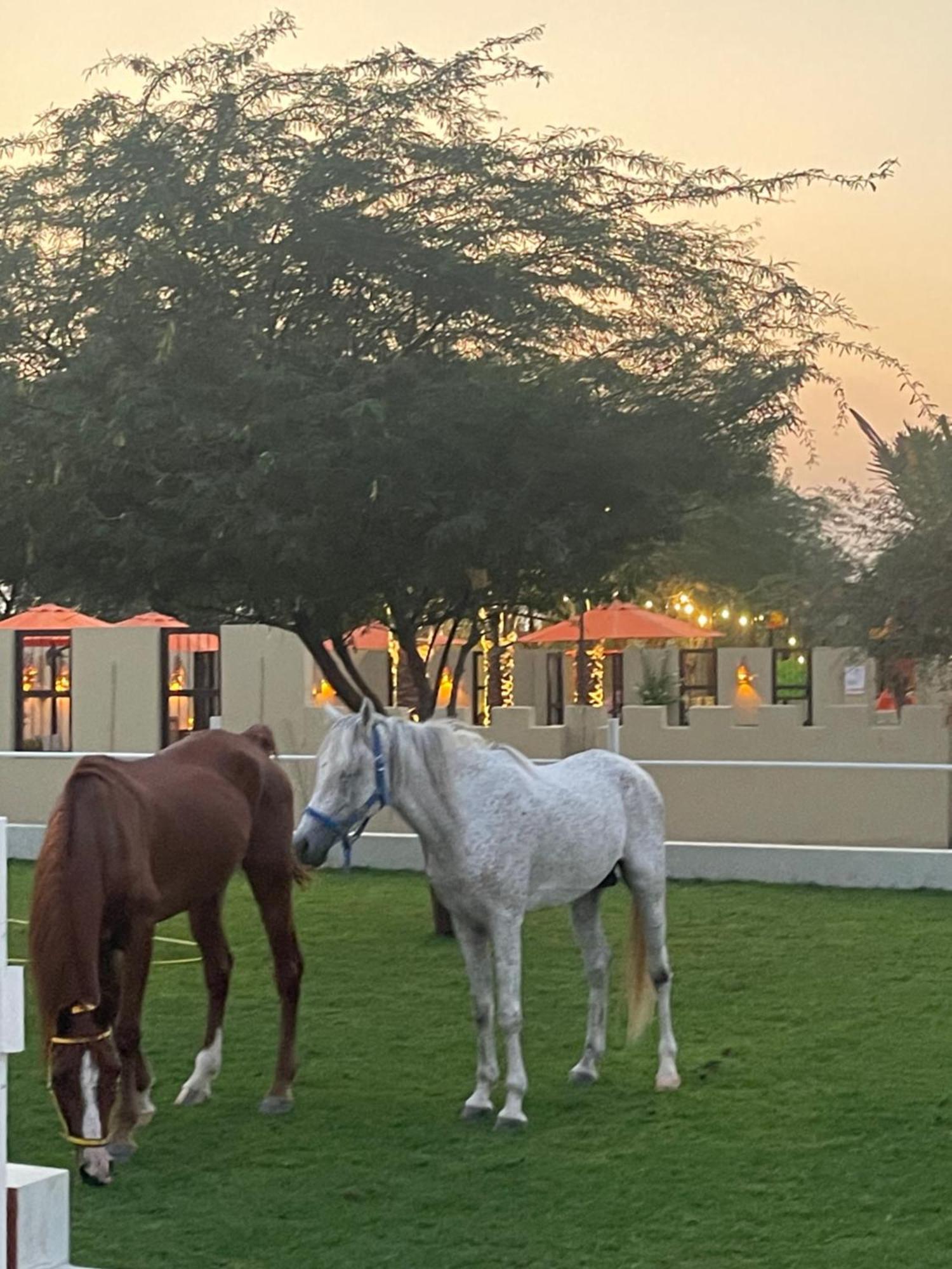 Al Bait Resort With Private Swimming Pools -Hrs Stables Al Hamraniyah Экстерьер фото